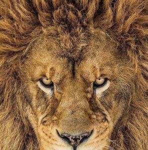 Meet your Posher, Tom